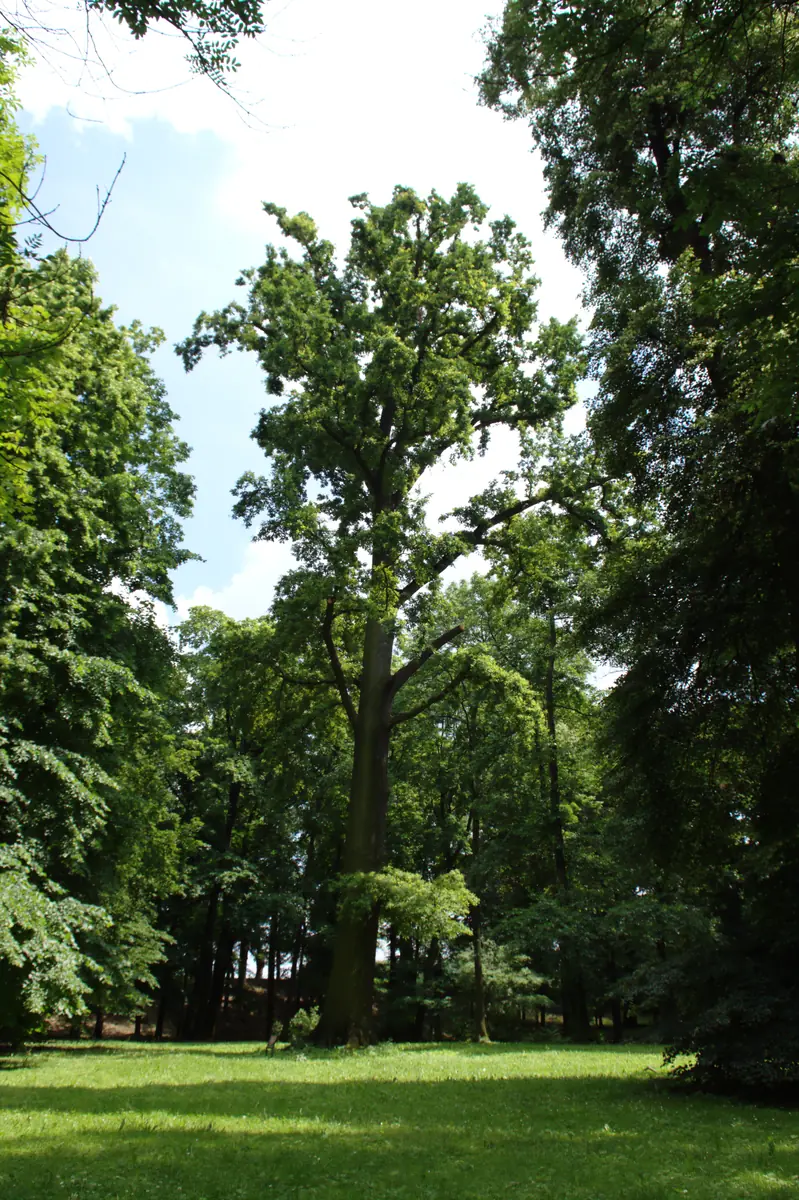 Zámecký park Dolní Počernice